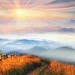 The Sun You Bring