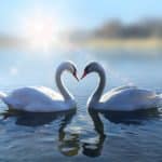 Dream sof Pardon Are Shared
