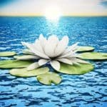 The Christ Within is Perfect