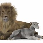 Lion Lays With The Lamb