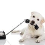 ACIM TEXT Conference Call