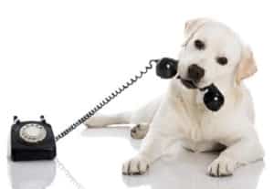 A Call for Love